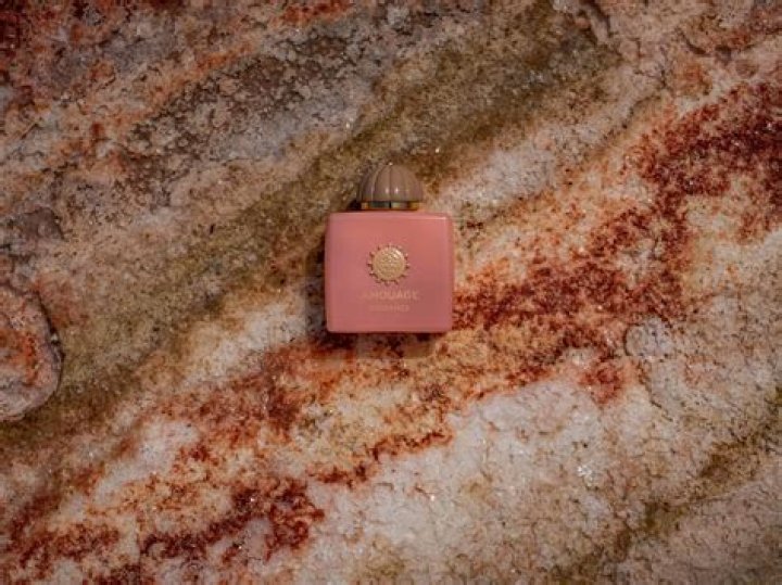 Aaron Hernandez's Mom Net Worth: A Deep Dive into the Financial Landscape