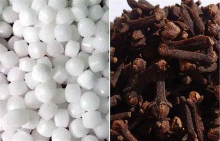 All About Yuyuhwa: Explore Its Uses and Benefits