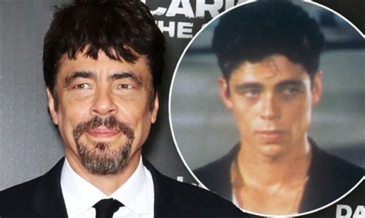 Benicio del Toro's Significant Other: Exploring His Marital Status