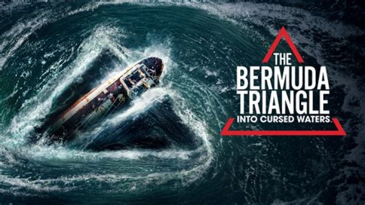 Bermuda Eel Rat: The Fascinating Creature of the Bermuda Triangle