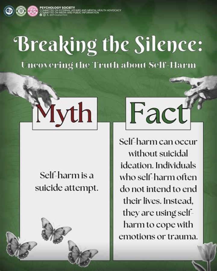 Breaking the Silence: Uncovering the Truth About brokensilenze