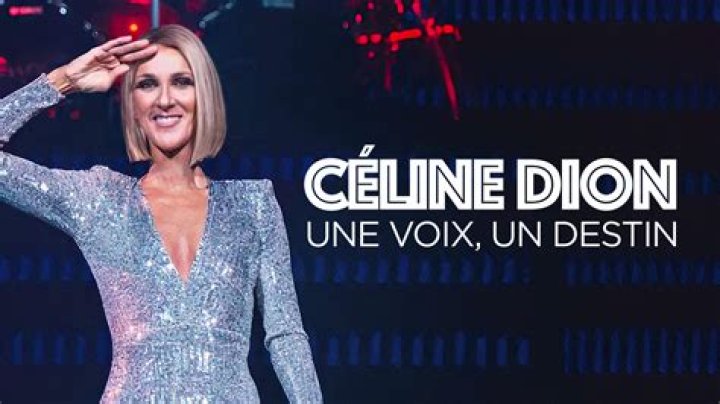 Celine Dion: A Tribute to a Legendary Artist and Her Impact on Music