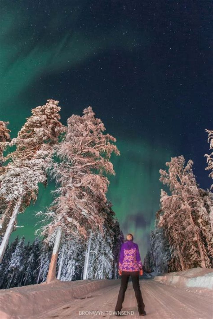 Discover the Enchanting Bronwin Aurora