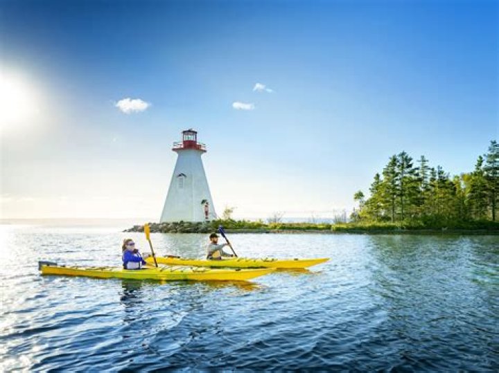 Exploring Wentworth Miller's Girlfriend: Relationships and Insights