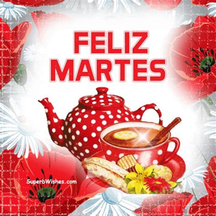 Feliz Martes: Celebrating the Joy of Tuesdays
