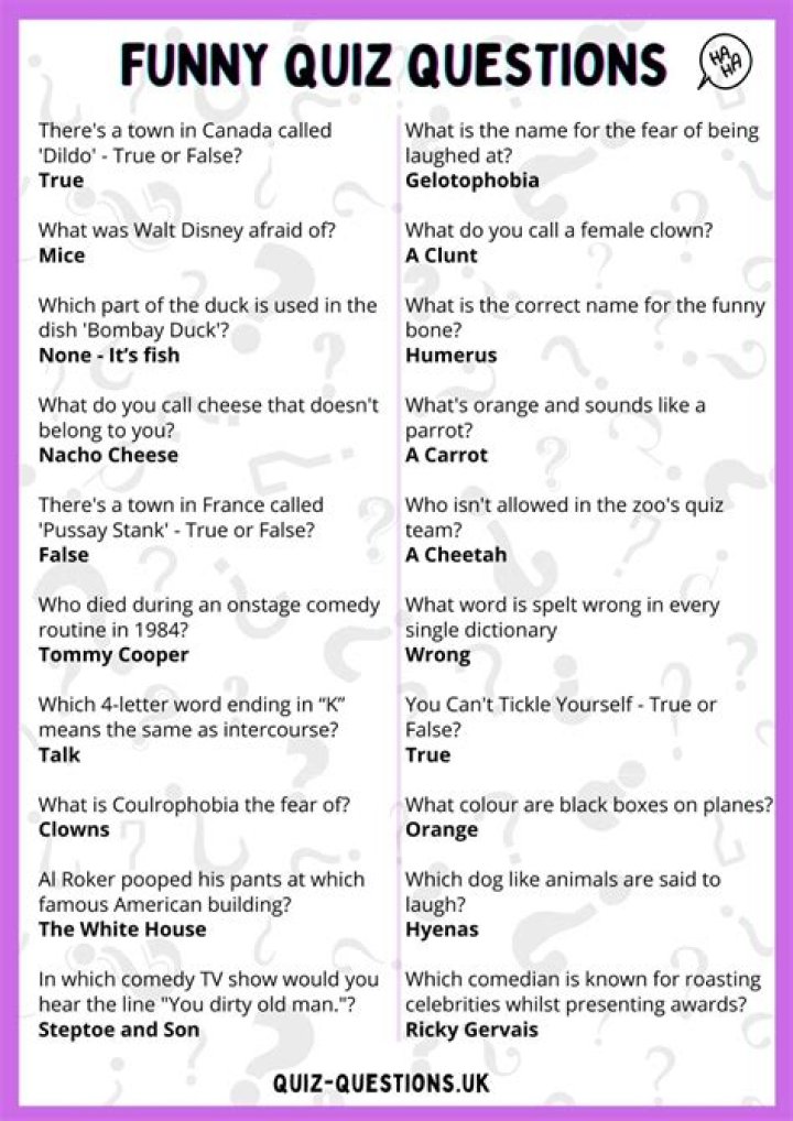 Funny Quiz Questions: A Guide to Laughter and Fun