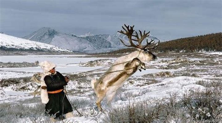 Jean-Bernard Fernandez-Versini Net Worth: A Comprehensive Exploration