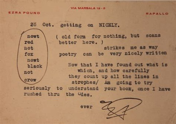 Katue Kush: The Ultimate Guide to Understanding This Unique Strain