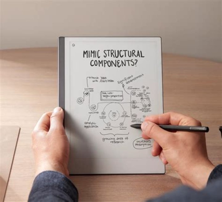 Lina Bina: The Journey of a Remarkable Talent