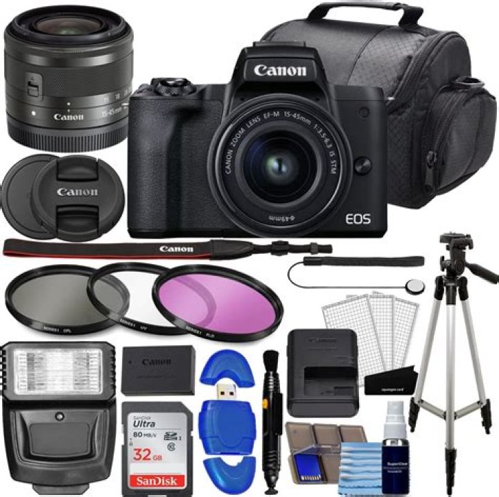 Liz Vicious: A Comprehensive Look at the Life and Career of an Iconic Figure