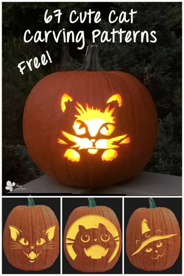 Mastering Cat Pumpkin Carving: A Fun Guide for Pet Lovers
