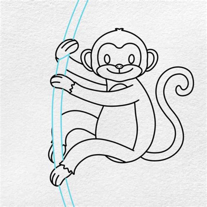 Mastering the Art of Monkey Drawing: A Comprehensive Guide