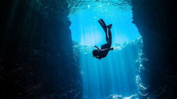 Steve-O Gathering: A Deep Dive into the World of Fun and Adventure