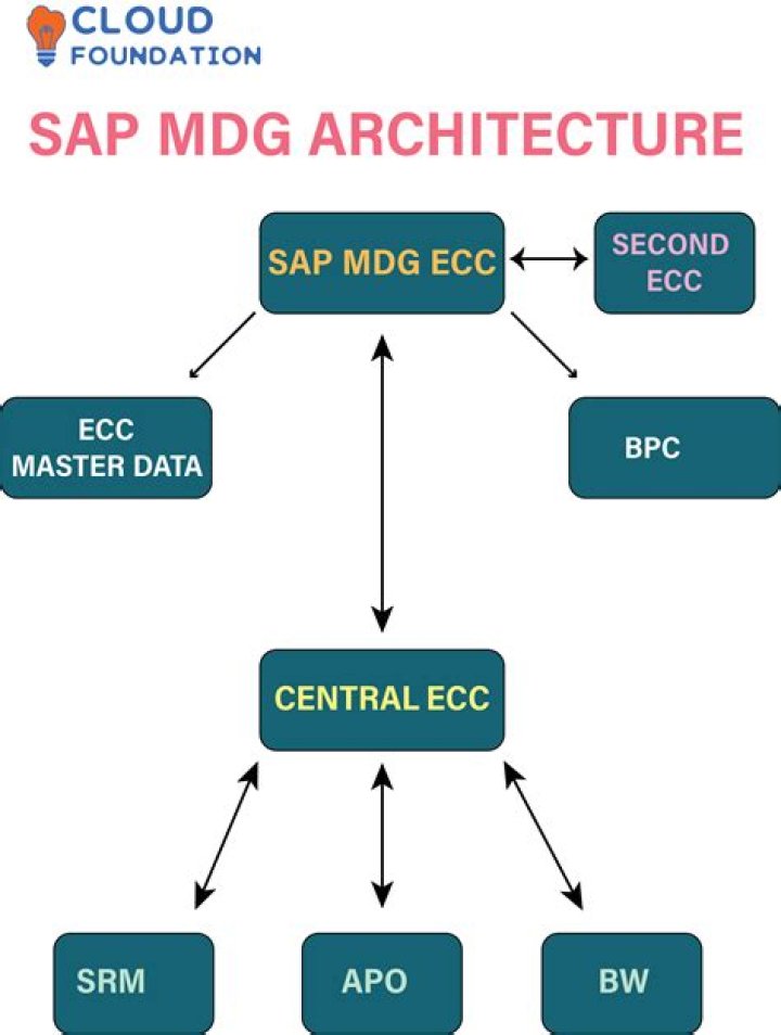 The Comprehensive Guide to Understanding PPP Warrants