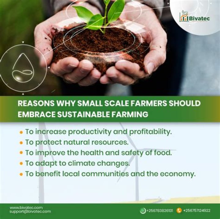 The Ultimate Guide to Farmer Briar: A Comprehensive Resource for Sustainable Agriculture