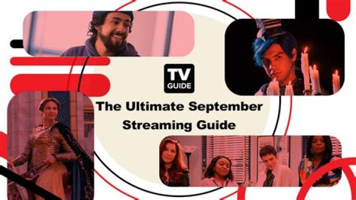 The Ultimate Guide to Streaming with Thesflix.in