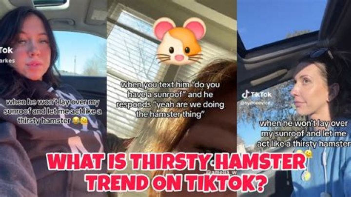 Thirsty Hamster Trend: Understanding the Phenomenon and Its Impact