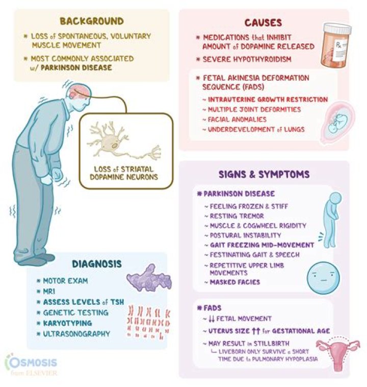 Understanding "Slime in Your Head": Causes, Symptoms, and Solutions