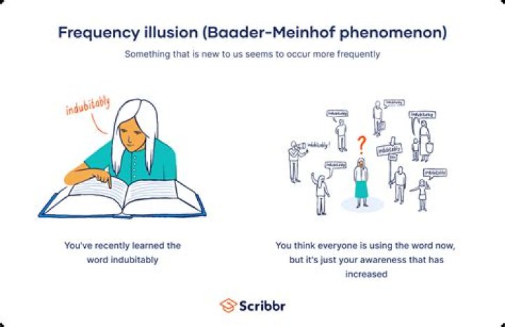 Understanding "So No Head": The Cultural Phenomenon Explained