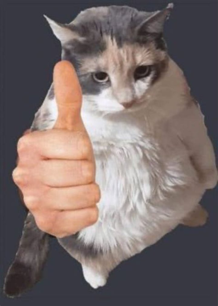 Understanding the Thumbs Up Meme: Origins, Evolution, and Impact
