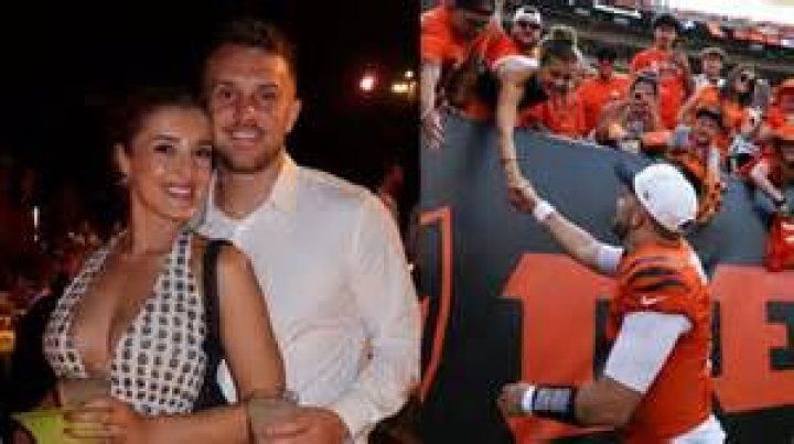 Unveiling the Life and Career of Stephanie Niles: A Comprehensive Guide